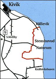 Stenshuvud Nationalpark och Naturum Stenshuvud