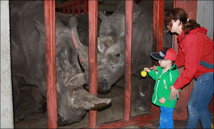 Givskud Zoo