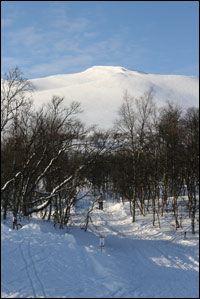 Storulvån