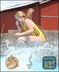 Hemester Simmärken