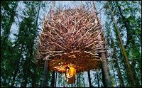 Treehotel