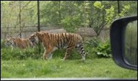 Knuthenborg Safaripark