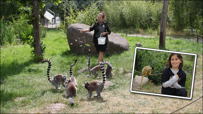 Ree Park Safari