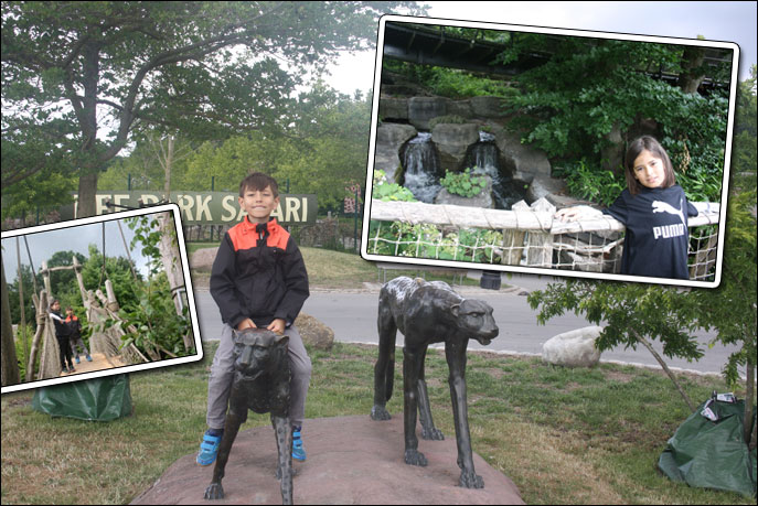 Ree Park Safari
