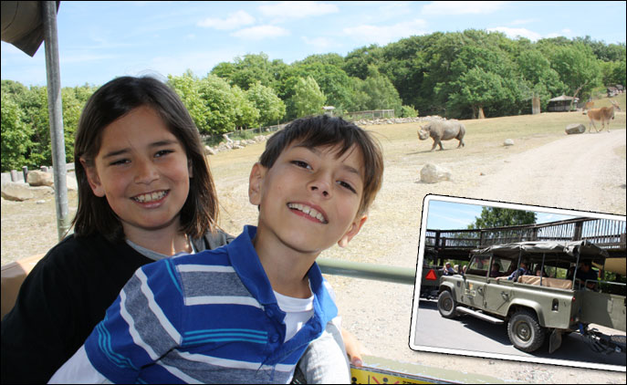Ree Park Safari