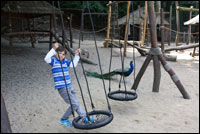 Ree Park Safari