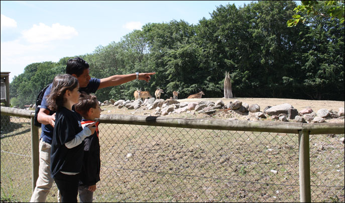 Ree Park Safari