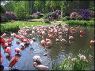 Vogelpark Walsrode (fågelpark)