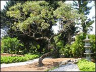 Miami Botanical Gardens