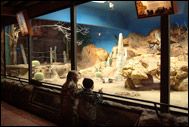 Skansen akvariet