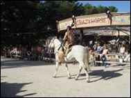 Corral Västernpark