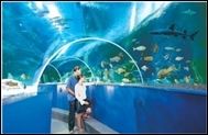 Blue Reef Aquarium Portsmouth