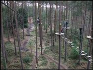 Go Ape! Alice Holt Forest