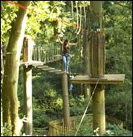 Go Ape! Dalby Forest