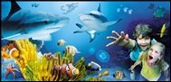 Gardaland Sea Life Aquarium