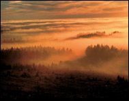 Nationalpark Harz/Hochharz