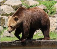 Zoo Parc Cap-Ferrat