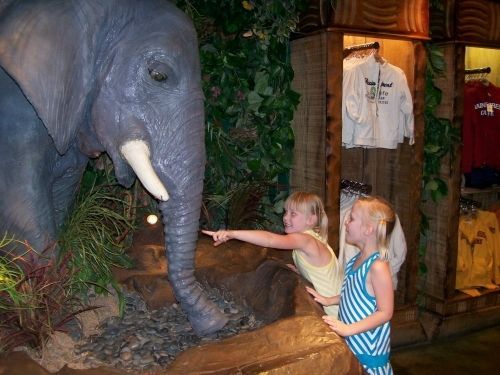 Lion Habitat (MGM Grand)