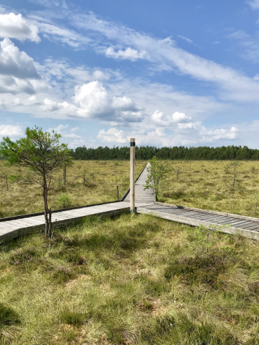 Store Mosse Nationalpark