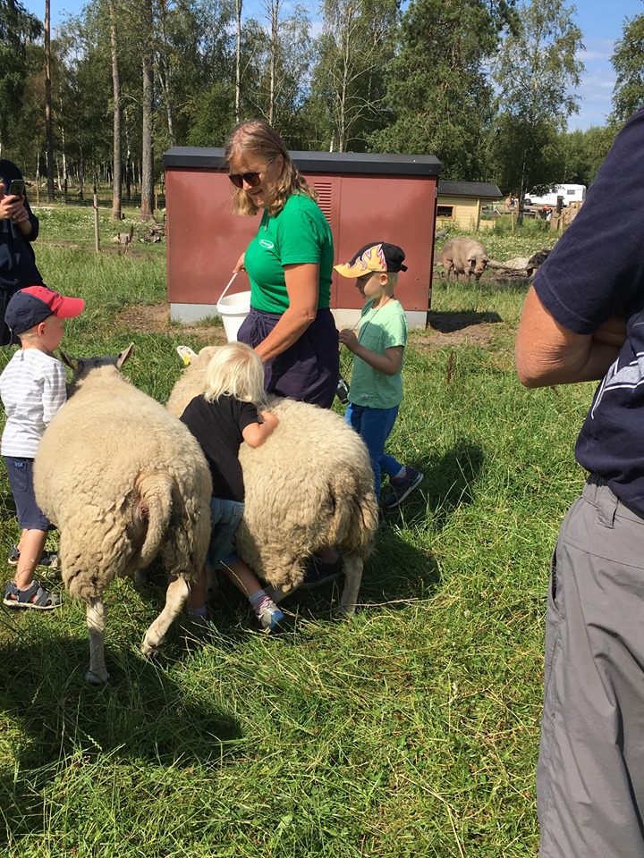 Gårdssafari på Kastebergs Gård